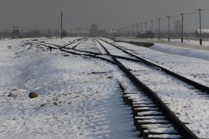 Auschwitz Train Tracks