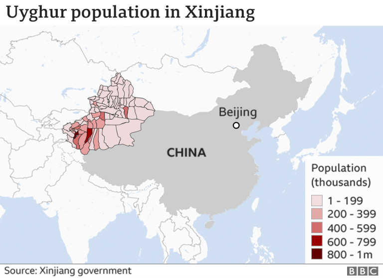 China Primer: Uyghurs visual data 7